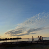 Отель Park Sands Beach Resort, фото 18