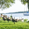 Отель Motel Rideau, фото 17