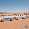 Отель Moxigo Desert Camp, фото 20