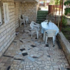 Отель Anna - great location & family friendly - A3(4), фото 13