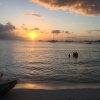 Отель Barbados Chi Guest House, фото 19