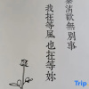 Отель Xinchang Xinya Homestay, фото 5