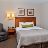 Отель Candlewood Suites Turlock, an IHG Hotel, фото 5