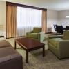 Отель Holiday Inn Cincinnati Airport, an IHG Hotel, фото 19