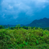 Отель Phong Nha Friendly Home, фото 44