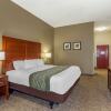 Отель Comfort Inn And Suites, фото 28