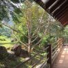 Отель Benum Hill Resort, фото 14