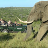 Отель Kariega Game Reserve, фото 2