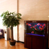 Отель 7 Days Inn Xuzhou Fengxian Zhongyang Street Branch, фото 8