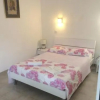 Отель Appartements La Mangouste, фото 2