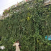 Отель Vertical Garden Hostel, фото 20