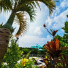 Отель Odysis Onna Resort Hotel, фото 1