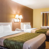 Отель Econo Lodge Tillmans Corner, фото 7