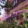 Отель Les Séraphins, фото 1