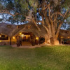 Отель Tuli Game Reserve - Pride Rock Camp, фото 6