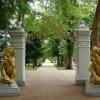 Гостиница Rus Health Resort, фото 14