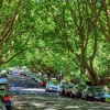 Отель Ponsonby Holiday Home Near The City, фото 15