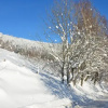 Отель Le Pré de la Zimette, фото 10