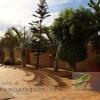 Отель Cycad Palm Guest House в Палапье