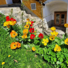 Отель Bauernhaus Posch, фото 8