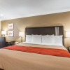 Отель Quality Inn Downey, фото 4