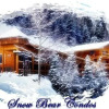 Отель Snow Bear Inn, фото 1