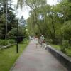 Гостиница Beliye Nochi Health Resort, фото 39