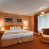 Отель Sword Motor Inn, фото 7