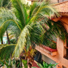 Отель Pueblo Bonito Mazatlan - All Inclusive, фото 24