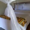 Отель Ichumbi Gorilla Lodge, фото 3
