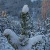 Отель Summer or Winter a Magical Region of Nystrand has Many Hidden Secrets to Unlock, фото 14