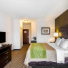 Отель Comfort Inn & Suites, фото 5