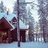 Отель Torassieppi Eco Reindeer Resort, фото 32