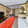 Отель Quality Inn & Suites, фото 41