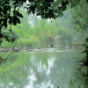 Отель Ranches Jungle Beats, фото 7