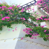 Отель Sunset Paradise Villa in Hersonisos, фото 14
