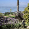 Отель The White Cabins - View, фото 29