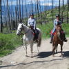 Отель Myra Canyon Lodge + Ranch, фото 41