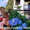 Отель Santana, Flowers's House в Сантане