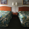 Отель Alpine Motel, фото 4