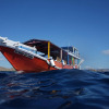 Отель Dragon Dive Komodo Dive Resort, фото 31