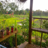 Отель Cast Away  Homestay, фото 5