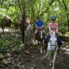 Отель The Springs Resort and Spa at Arenal, фото 33