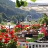 Отель Elbhotel Bad Schandau, фото 42