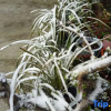 Отель Bipeng Holiday Hotel, фото 8