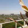 Отель Central Hawassa hotel, фото 11