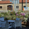 Отель Hostal Revinuesa, фото 1