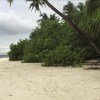 Отель Beach Stay Maldives, фото 13