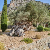 Отель Agritourismo Alquería Blanca, фото 21