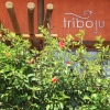 Отель Pousada Triboju в Фернанду-ди-Нороньей